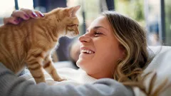 Kočičí láska: Jak poznat, že vám vaše kočka důvěřuje a váží si vás