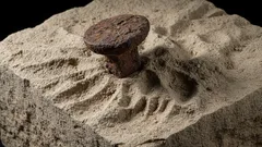 Ve Francii byl učiněn překvapivý objev, který nezapadá do oficiální historie.